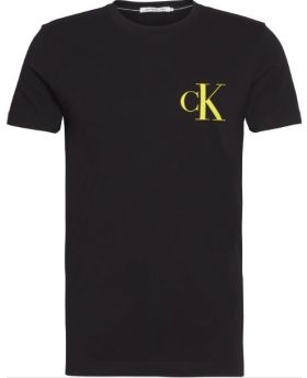 CKJ t-shirt J30J315175 BAE 