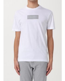 Calvin Klein t-shirt  K10K112403 YAF