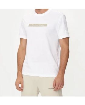 CK t-shirt K10K113110 YAF biały 