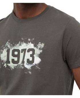 Pepe Jeans t-shirt PM508946 728