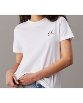 CKJ t-shirt J20J224439 YAF